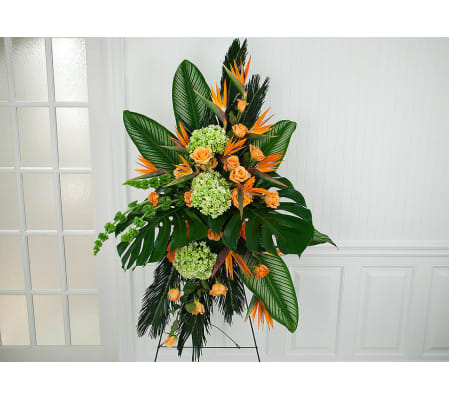 Tangerine Dream Standing Tribute
