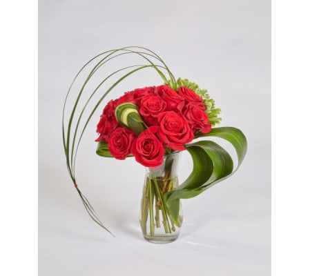 Freedom Today Roses