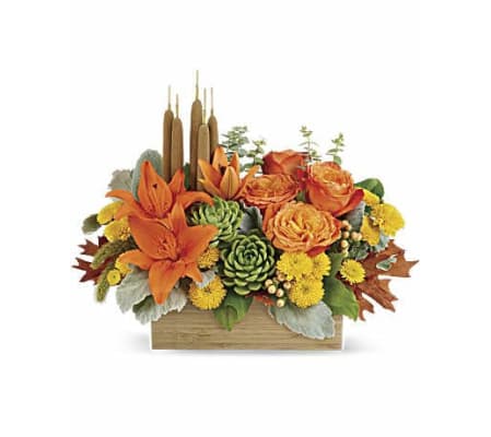 Fall Garden Succulent