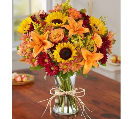Get Into Fall