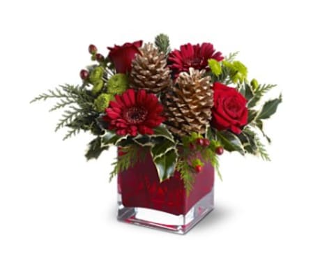 Teleflora's Cozy Christmas