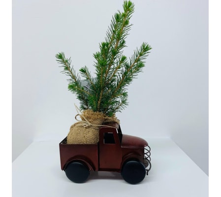 Evergreen Tree Pickup Truck - Small