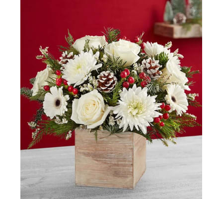 Christmas In The Woods