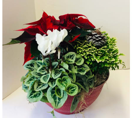 Christmas Decorative Planters