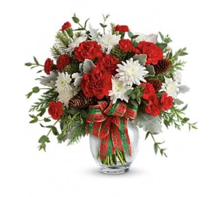 Holly Jolly Carnations
