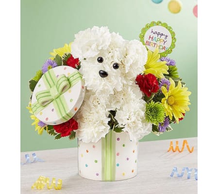 Party Pooch 1800flowers