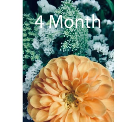 Flower Subscription Service
