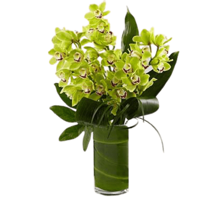 Luxury Orchid Bouquet