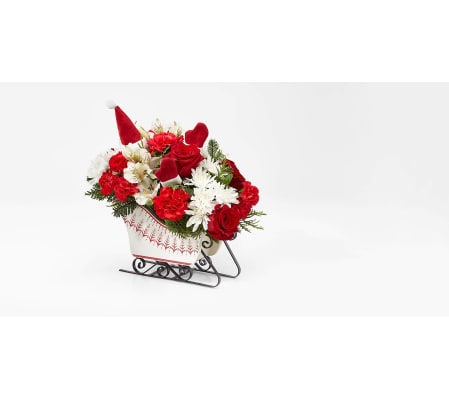 Dash Through The Snow by FTD