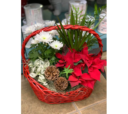 Holly Jolly Christmas Planter - Red Poinsettia