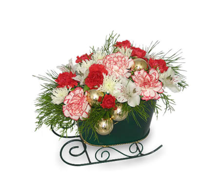 Merry N Bright Sleigh