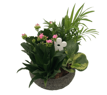 Grey Stone Bowl Planter