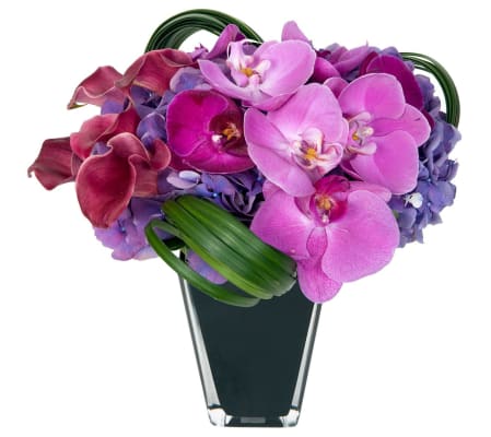 Purple Manhattan Flowers