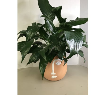 Face Planter with Peace Lily
