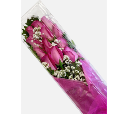 Fuchsia Boxed Roses