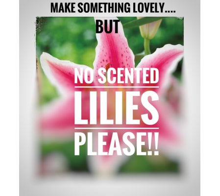 No Lilies Please!