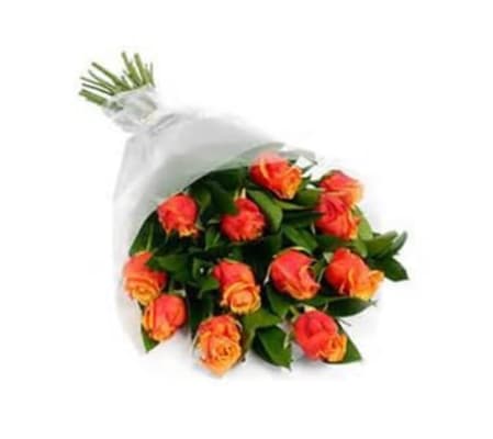 Dozen Orange Roses Wrapped