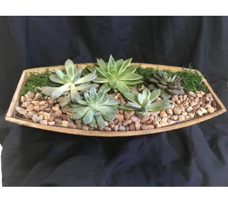 Succulent Boat Tray