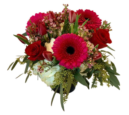 Cosmic Celestial Beauty