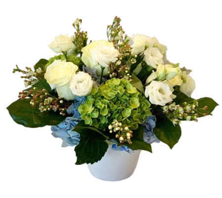 Soiree - Special Feature 2025 Mothers Day