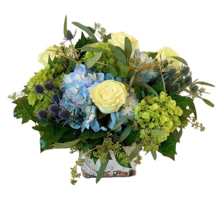 Galaxy Far, Far Away