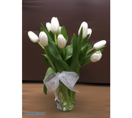 Wonderful White Tulips