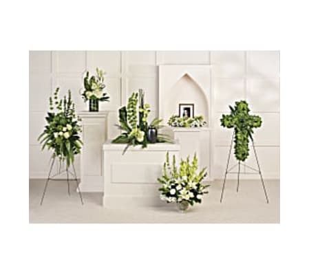 Tranquil Peace Collection