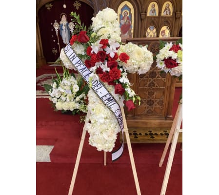 Red and White Healing Cross