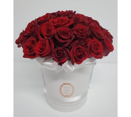 Red Rose Luxe in Box