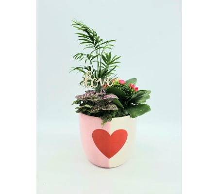2-tone Heart V-Day Planter