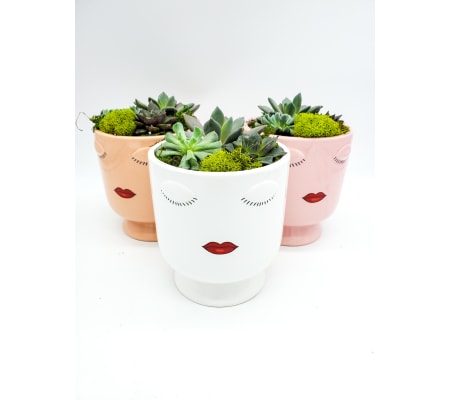 Diva Planter