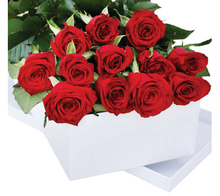 Beautiful Boxed Long Stem Roses