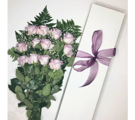 Dozen Boxed Purple Roses