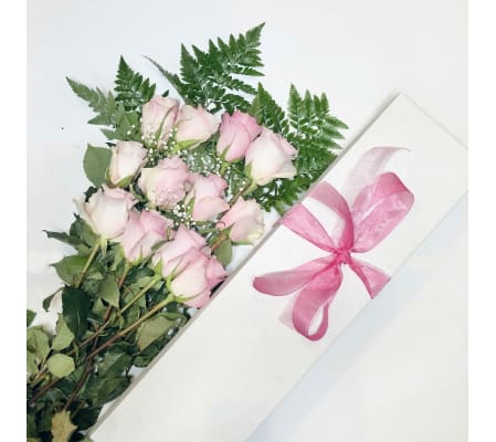 One Dozen Pink Roses Boxed