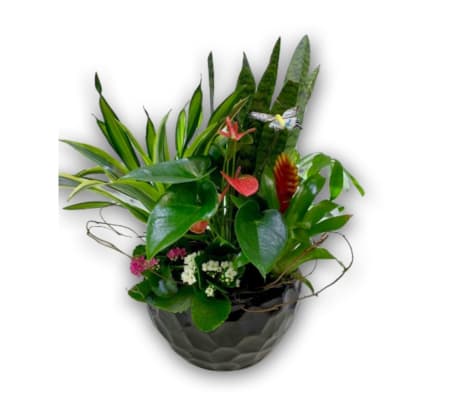 Garden of Paradise Ceramic Planter