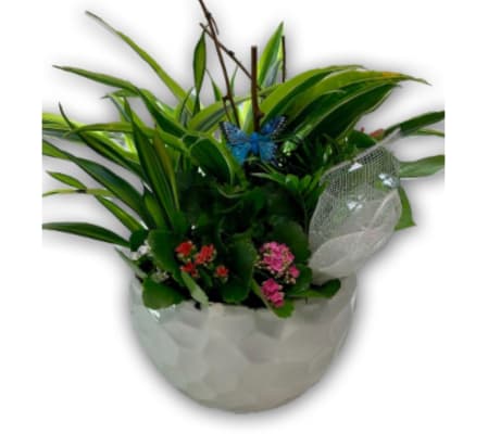 Magical Garden Planter