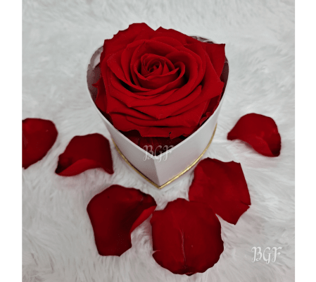 Single Preserved Heart Box