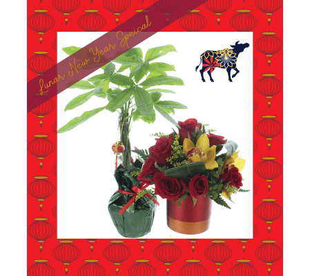 2021 Lunar New Year Special!