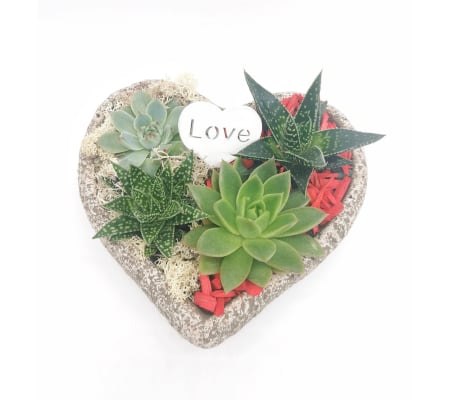 Heart Full of Succulents