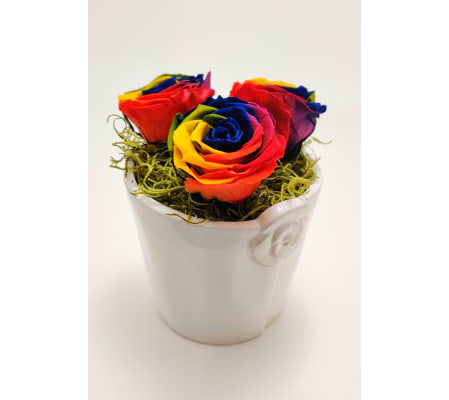 Eternal Rainbow Rose