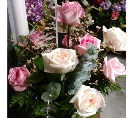 Fragrant Premium Pink Garden Roses