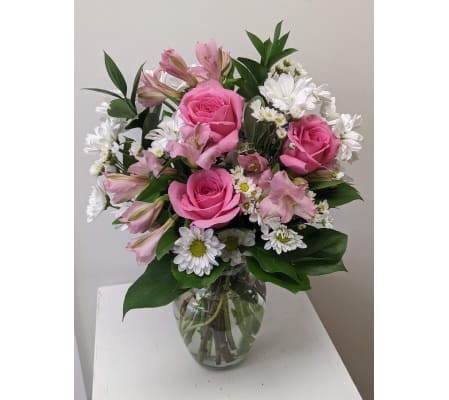 Blushing Daisy Delight