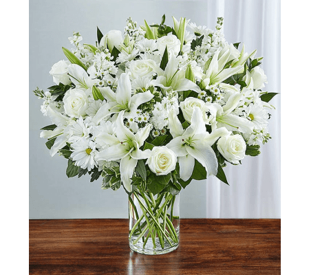 Pearl White Elegancia