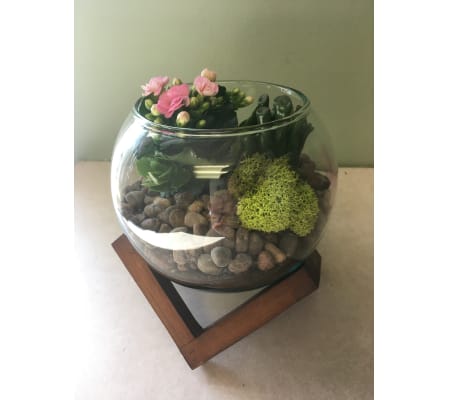 Succulent & Plant Arrangement