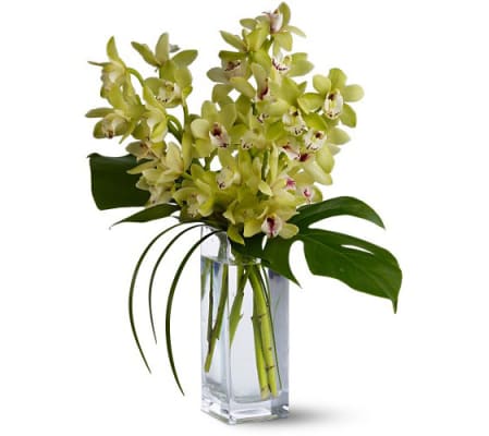 Orchid Elegance 2021