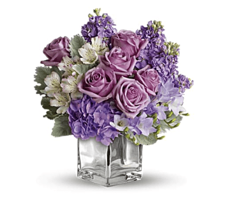 Lavender Blooms In A Cube