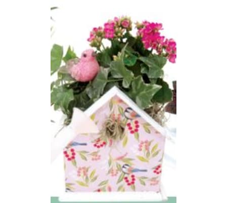 Cortez Bird House Planter