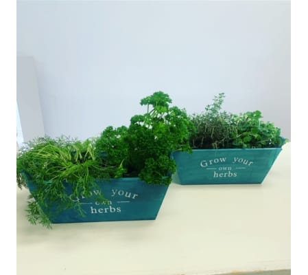 ASSORTED HERB BOX