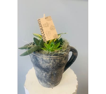 Stone Succulent Pitcher Planter