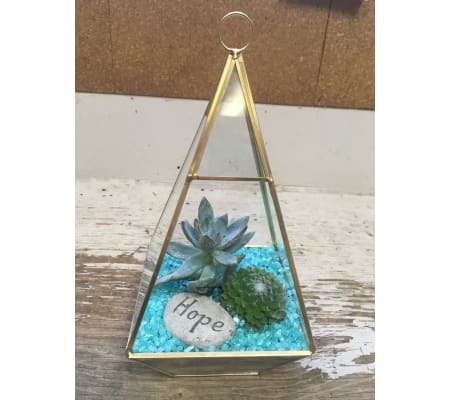 Succulent Gold terrarium